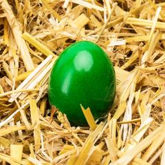 green easter egg on straw- Stock Photo or Stock Video of rcfotostock | RC Photo Stock