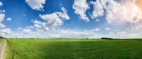 Green field with trees and blue sky. Panoramic view to grass, trees and flowers on the hill on sunny spring day- Stock Photo or Stock Video of rcfotostock | RC Photo Stock