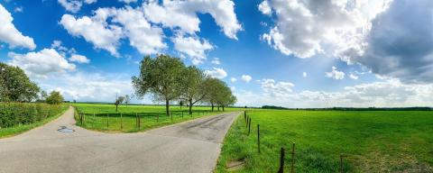 Green field with trees and blue sky. Panoramic view to grass, trees and flowers on the hill on sunny spring day- Stock Photo or Stock Video of rcfotostock | RC-Photo-Stock