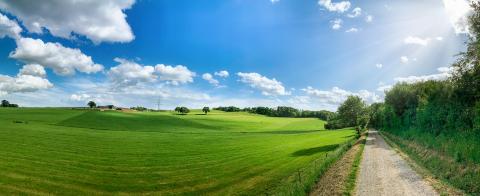 Green field with trees and blue sky. Panoramic view to grass, trees and flowers on the hill on sunny spring day : Stock Photo or Stock Video Download rcfotostock photos, images and assets rcfotostock | RC Photo Stock.:
