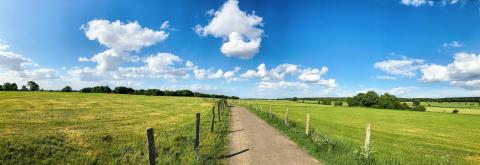 Green field with trees and blue sky. Panoramic view to grass, trees and flowers on the hill on sunny spring day- Stock Photo or Stock Video of rcfotostock | RC Photo Stock