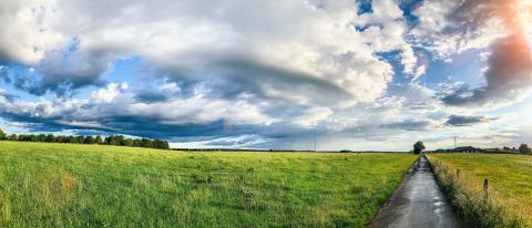 Green field with trees and blue sky. Panoramic view to grass, trees and flowers on the hill on sunny spring day : Stock Photo or Stock Video Download rcfotostock photos, images and assets rcfotostock | RC-Photo-Stock.: