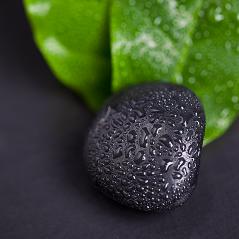 Green leaf and Black Stone with water drops- Stock Photo or Stock Video of rcfotostock | RC Photo Stock