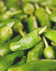 green peppers background - texture of green pepper, chili- Stock Photo or Stock Video of rcfotostock | RC Photo Stock