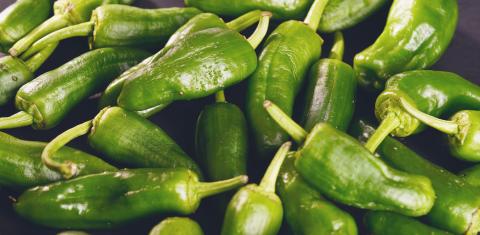 green peppers background - texture of green pepper, chili- Stock Photo or Stock Video of rcfotostock | RC-Photo-Stock