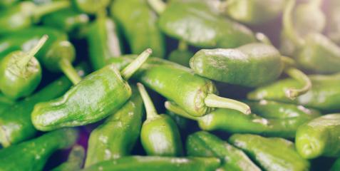 green peppers background - texture of green pepper, chili : Stock Photo or Stock Video Download rcfotostock photos, images and assets rcfotostock | RC Photo Stock.: