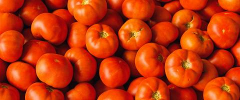 Group of fresh beefsteak tomatoes for sale in the supermarket - Stock Photo or Stock Video of rcfotostock | RC Photo Stock