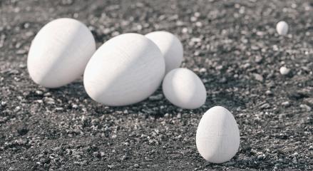group of white eggs in a landscape - 3D Rendering Illustration- Stock Photo or Stock Video of rcfotostock | RC-Photo-Stock