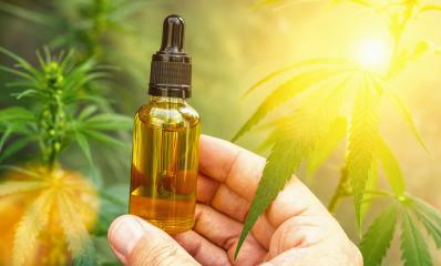 Hand holding bootle of biological and ecological herbal pharmaceutical cbd oil in a dropper with cannabis plants in the background. Concept of herbal alternative medicine, pharmaceutical industry- Stock Photo or Stock Video of rcfotostock | RC Photo Stock
