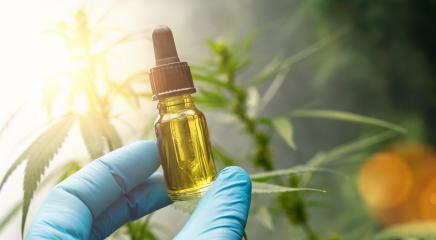 Hand holding bootle of biological and ecological herbal pharmaceutical cbd oil in a dropper at a Hemp farm. Concept of herbal alternative medicine, cbd oil, pharmaceutical industry- Stock Photo or Stock Video of rcfotostock | RC Photo Stock