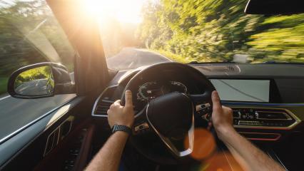 hands of car driver on steering wheel, road trip, driving on forest road- Stock Photo or Stock Video of rcfotostock | RC-Photo-Stock