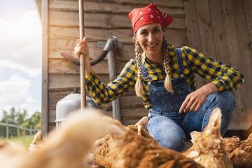 happy chicken famer woman looks to camera with her hens at a farmside : Stock Photo or Stock Video Download rcfotostock photos, images and assets rcfotostock | RC Photo Stock.: