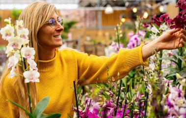 Happy woman admiring orchid flowers in a Garden Center to buy it for their apartment. Shopping in a greenhouse concept image : Stock Photo or Stock Video Download rcfotostock photos, images and assets rcfotostock | RC Photo Stock.: