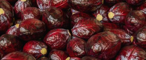 Heads of red cabbage (Brassica oleracea) for sale at a farmer's market- Stock Photo or Stock Video of rcfotostock | RC Photo Stock