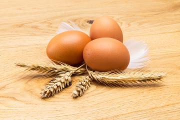hen eggs with cereals- Stock Photo or Stock Video of rcfotostock | RC-Photo-Stock