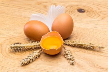 hen eggs with corn ears : Stock Photo or Stock Video Download rcfotostock photos, images and assets rcfotostock | RC-Photo-Stock.: