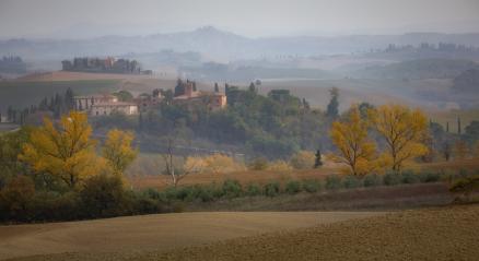 Herbstliche Toskana, Sienna, Italien : Stock Photo or Stock Video Download rcfotostock photos, images and assets rcfotostock | RC Photo Stock.: