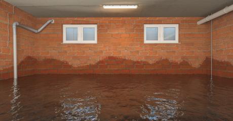 High water in the basement with a damp wall after a flood- Stock Photo or Stock Video of rcfotostock | RC Photo Stock