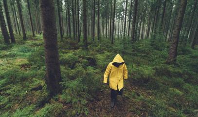 hiker with yellow rain jacket walks in the foggy forest- Stock Photo or Stock Video of rcfotostock | RC-Photo-Stock