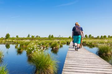 Hiking in the Hautes Fagnes a bog landscape : Stock Photo or Stock Video Download rcfotostock photos, images and assets rcfotostock | RC Photo Stock.: