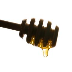 honey dipper with bio honey- Stock Photo or Stock Video of rcfotostock | RC-Photo-Stock