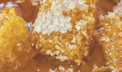 Honeycombs with fresh honey- Stock Photo or Stock Video of rcfotostock | RC-Photo-Stock