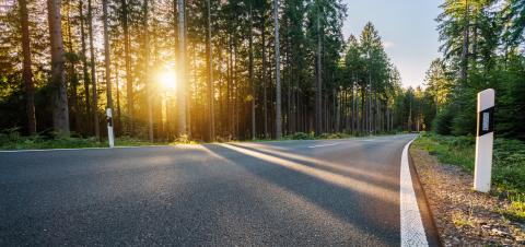 hughway into Silent Forest in spring with beautiful bright sun rays- Stock Photo or Stock Video of rcfotostock | RC Photo Stock