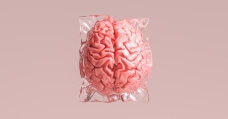 Human brain wrapped in shrink wrap as a plastic waste and medical concept image- Stock Photo or Stock Video of rcfotostock | RC Photo Stock