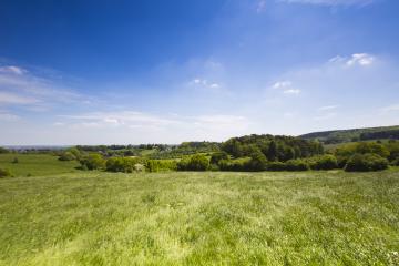 idyllic forest landscape in summer- Stock Photo or Stock Video of rcfotostock | RC Photo Stock