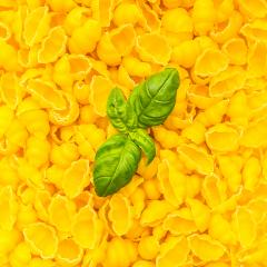 italian Gnocchi noodels with basil leaf- Stock Photo or Stock Video of rcfotostock | RC Photo Stock