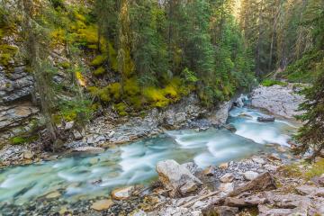 Johnston canyon river at the alberta national park canada - Stock Photo or Stock Video of rcfotostock | RC-Photo-Stock