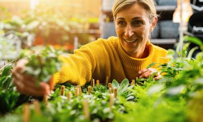 joyful woman in a bright yellow sweater is closely examining and choosing plants in an indoor garden center, surrounded by lush greenery. Shopping in a greenhouse concept image : Stock Photo or Stock Video Download rcfotostock photos, images and assets rcfotostock | RC Photo Stock.: