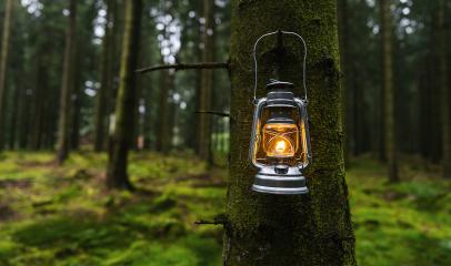 kerosene lamp or oil lamp used at dusk hangs on a tree in a dark forest- Stock Photo or Stock Video of rcfotostock | RC Photo Stock