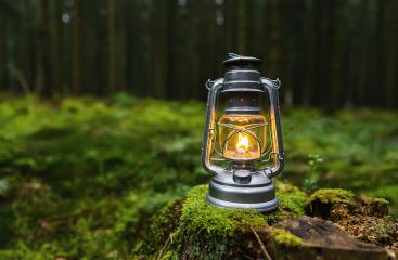 kerosene lamp or oil lamp used at dusk on a tree trunk in the dark forest, with copyspace for your individual text. : Stock Photo or Stock Video Download rcfotostock photos, images and assets rcfotostock | RC Photo Stock.: