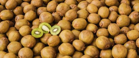 kiwi fruits with halved kiwi in a big pile, vegan food concept image- Stock Photo or Stock Video of rcfotostock | RC Photo Stock