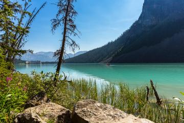 Lake Louise Mountain in summer at banff canada- Stock Photo or Stock Video of rcfotostock | RC-Photo-Stock
