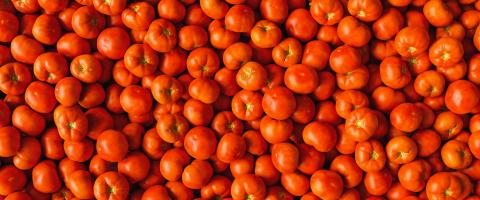 Lots of fresh red tomatoes as a background texture with beefsteak tomatoes and other varieties  : Stock Photo or Stock Video Download rcfotostock photos, images and assets rcfotostock | RC-Photo-Stock.: