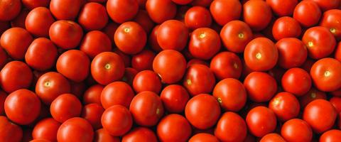 Lots of fresh red tomatoes as a health header background- Stock Photo or Stock Video of rcfotostock | RC Photo Stock