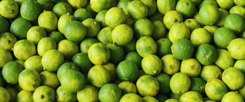 Lots of green fresh limes as a background texture banner - Stock Photo or Stock Video of rcfotostock | RC Photo Stock