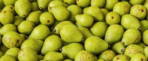Lots of pears at a fruit market- Stock Photo or Stock Video of rcfotostock | RC Photo Stock