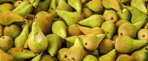 Lots of pears with bitten pear in a pile, vegan food : Stock Photo or Stock Video Download rcfotostock photos, images and assets rcfotostock | RC Photo Stock.:
