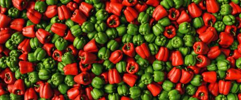 Lots of ripe fresh paprika peppers bells mix red and green as a background texture header, banner size- Stock Photo or Stock Video of rcfotostock | RC Photo Stock