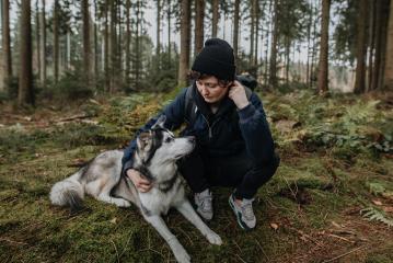 Man hugs his cute white and black husky in the forest at sunset. Friendship between dog and human, they look at each other. Autumn mood outdoors. Enjoy friendship with a pet.- Stock Photo or Stock Video of rcfotostock | RC Photo Stock