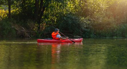 Man in a red kayak paddles serenely on a calm river, surrounded by dense green foliage under a golden sunlight at summer. Kayak Water Sports concept image- Stock Photo or Stock Video of rcfotostock | RC Photo Stock