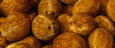 many coconuts at a food market - Stock Photo or Stock Video of rcfotostock | RC Photo Stock