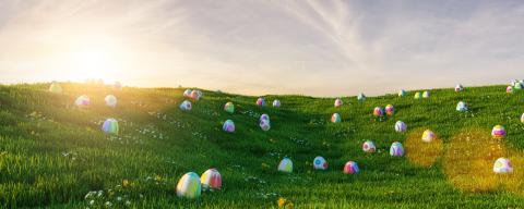 Many colorful easter eggs in the grass of a meadow for easter at sunset- Stock Photo or Stock Video of rcfotostock | RC-Photo-Stock