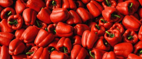 Many red organic bell pepper or capsicum in market for sale. Pile of sweet bell peppers paprika background.- Stock Photo or Stock Video of rcfotostock | RC Photo Stock