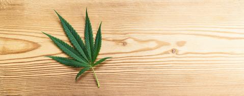 Mature Marijuana leaf on wooden backgroundt. banner size, copyspace for your individual text.- Stock Photo or Stock Video of rcfotostock | RC Photo Stock