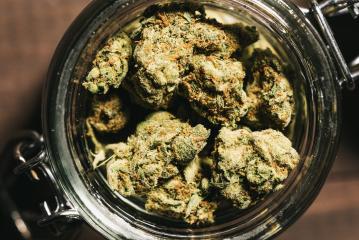 Medicinal Marijuana Weed Cannabis Dope Medical Buds cbd- Stock Photo or Stock Video of rcfotostock | RC-Photo-Stock