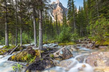 moraine lake brook in the woods with rocky mountains at banff canada - Stock Photo or Stock Video of rcfotostock | RC-Photo-Stock